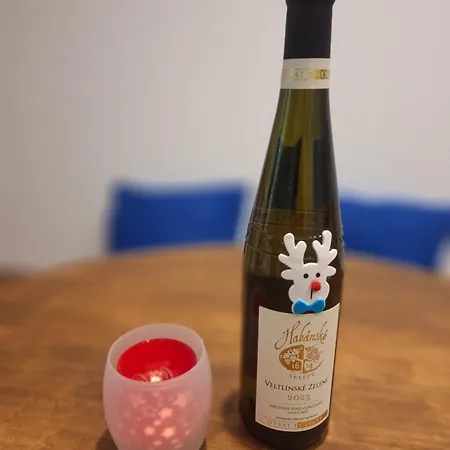 Apartman Ostruvek Lejlighed